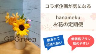 hanameku(ハナメク)のお花の定期便は摘みたて新鮮！特にコラボがアツい！ 